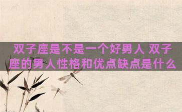 双子座是不是一个好男人 双子座的男人性格和优点缺点是什么